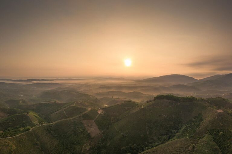 Lorem ipsum dolor sit amet