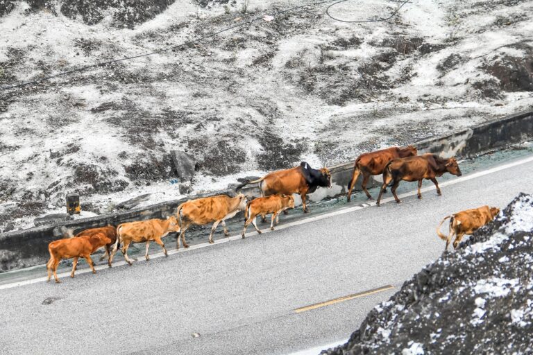 Lorem ipsum dolor sit amet 10